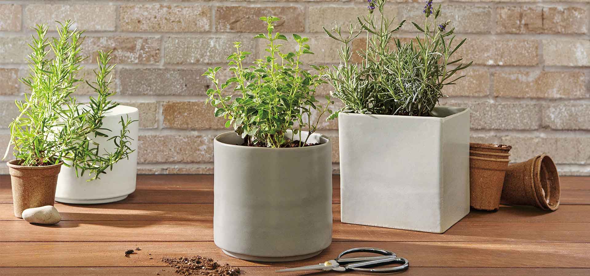 Modern planters on table